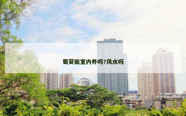 蜀葵能室内养吗?风水吗