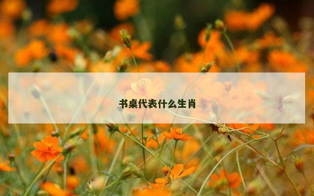书桌代表什么生肖