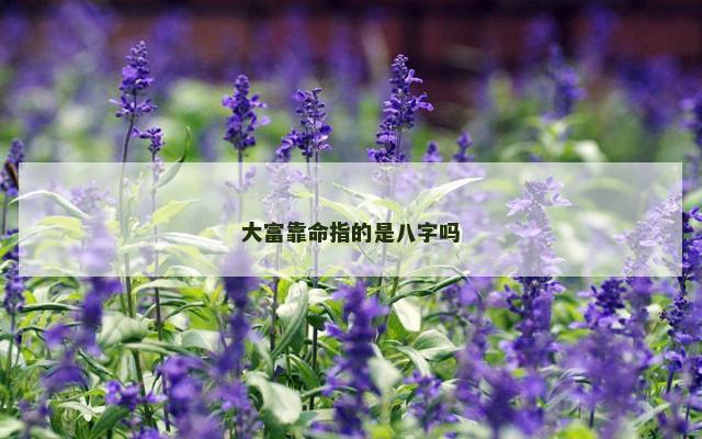 大富靠命指的是八字吗