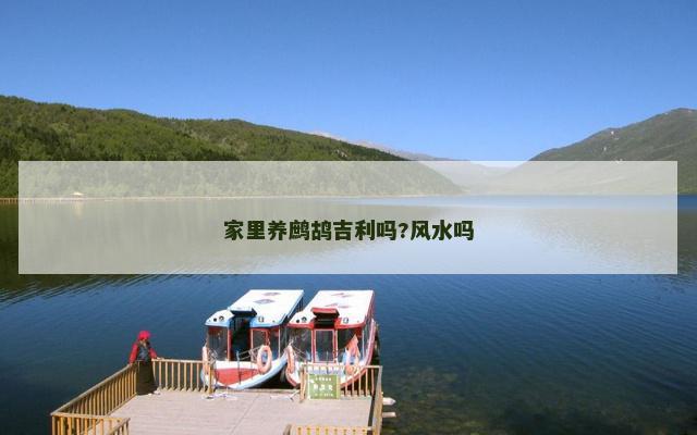 家里养鹧鸪吉利吗?风水吗