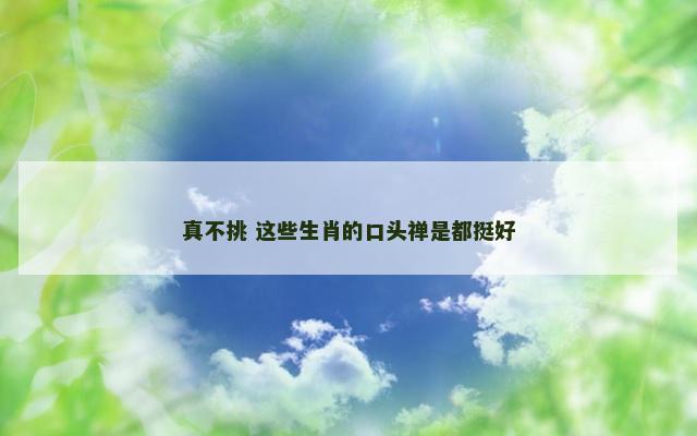 真不挑 这些生肖的口头禅是都挺好