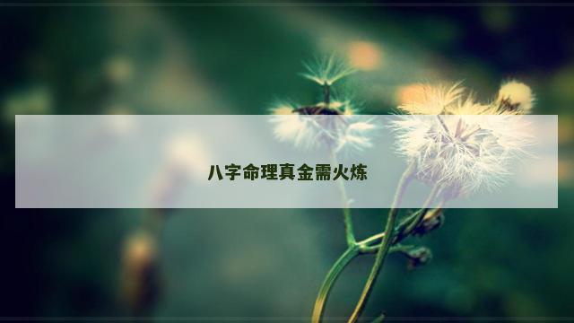 八字命理真金需火炼