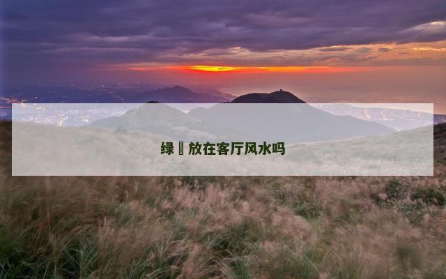 绿鏍放在客厅风水吗