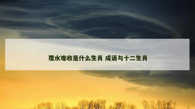 覆水难收是什么生肖 成语与十二生肖