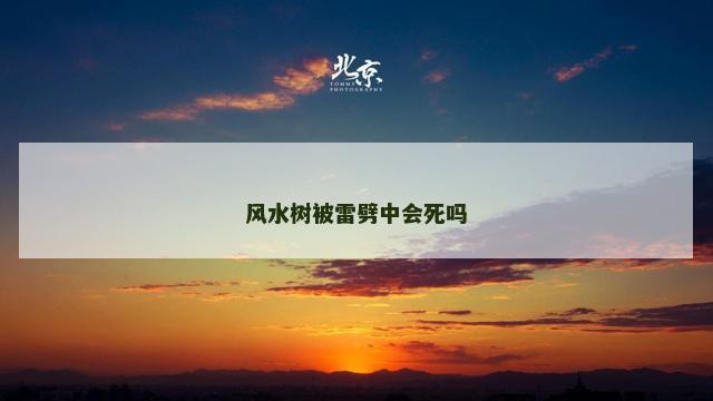 风水树被雷劈中会死吗