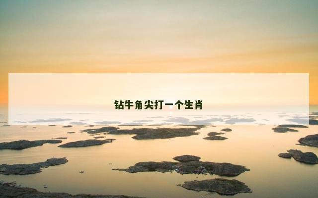 钻牛角尖打一个生肖