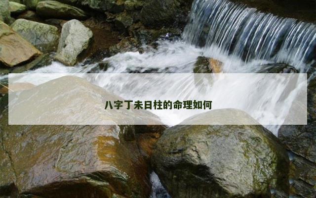 八字丁未日柱的命理如何