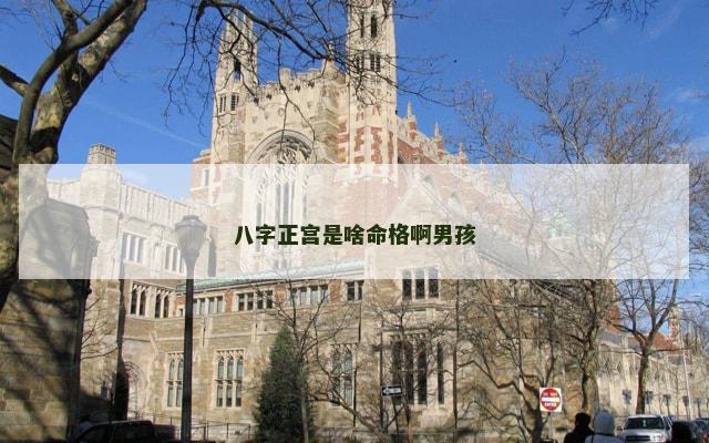 八字正宫是啥命格啊男孩