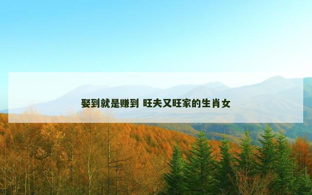 娶到就是赚到 旺夫又旺家的生肖女