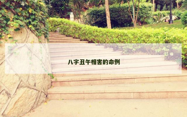 八字丑午相害的命例