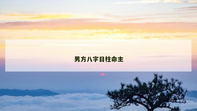 男方八字日柱命主