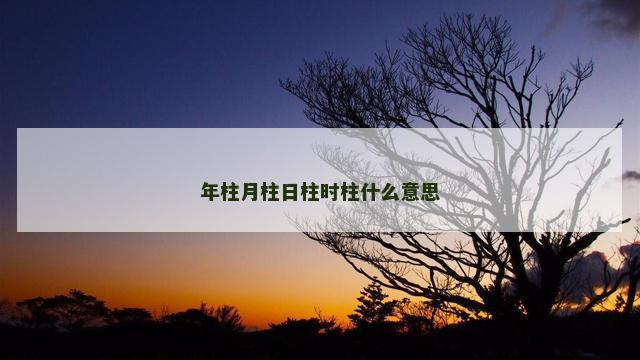 年柱月柱日柱时柱什么意思