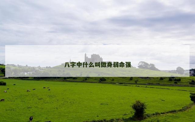 八字中什么叫做身弱命强