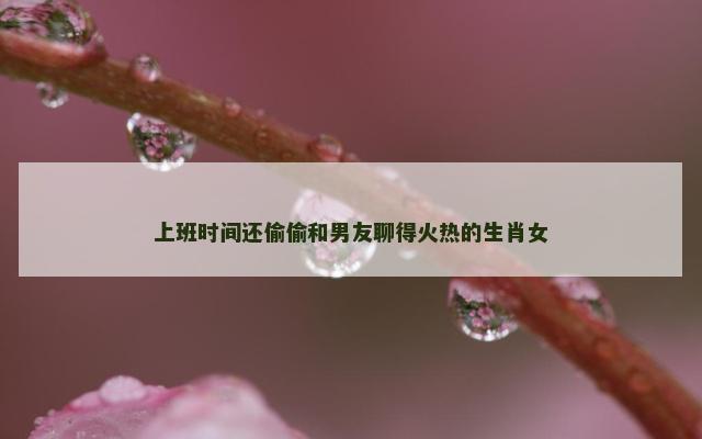 上班时间还偷偷和男友聊得火热的生肖女
