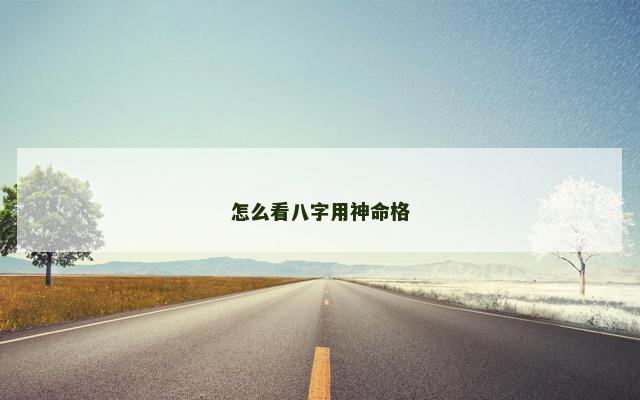 怎么看八字用神命格