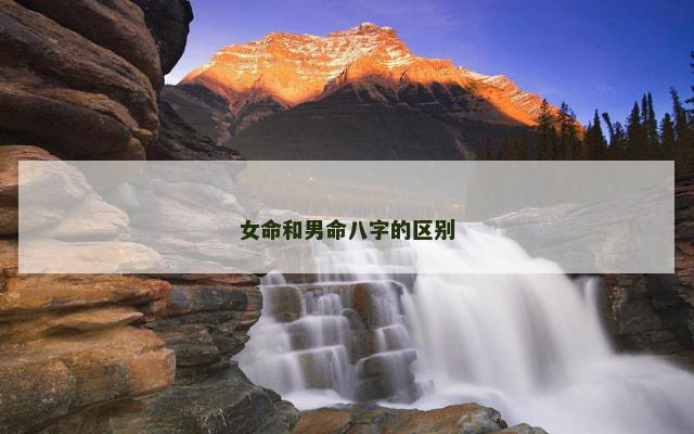 女命和男命八字的区别