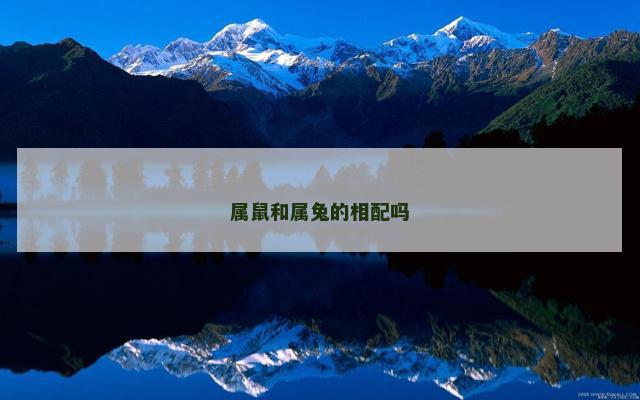 属鼠和属兔的相配吗