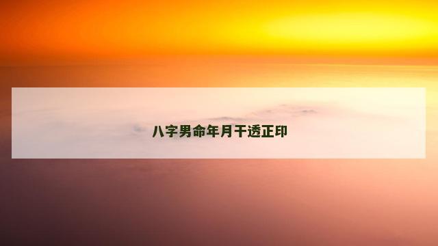 八字男命年月干透正印