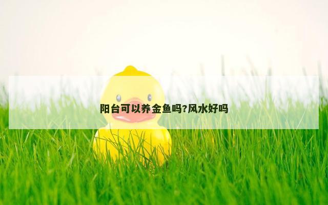 阳台可以养金鱼吗?风水好吗
