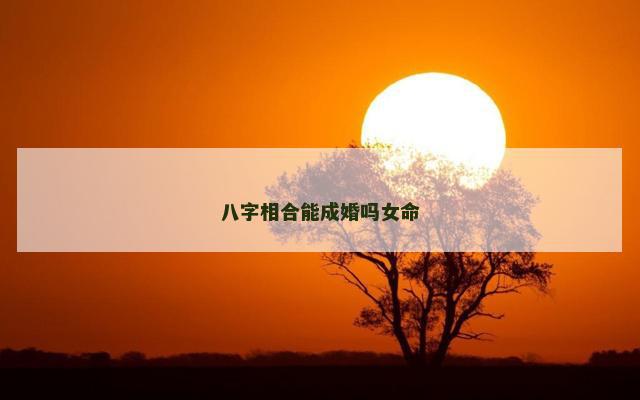 八字相合能成婚吗女命