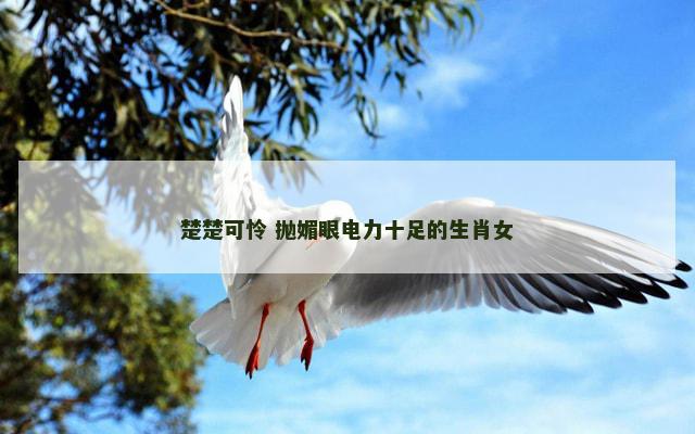 楚楚可怜 抛媚眼电力十足的生肖女