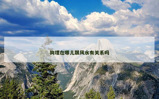 狗埋在哪儿跟风水有关系吗