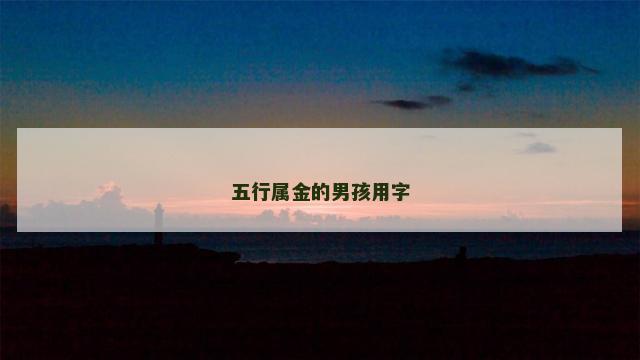 五行属金的男孩用字