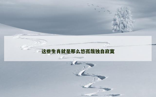 这些生肖就是那么悠孤哉独自寂寞