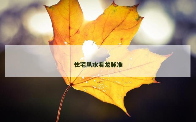 住宅风水看龙脉准