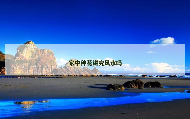 家中种花讲究风水吗