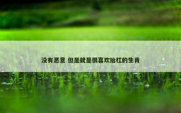 没有恶意 但是就是很喜欢抬杠的生肖