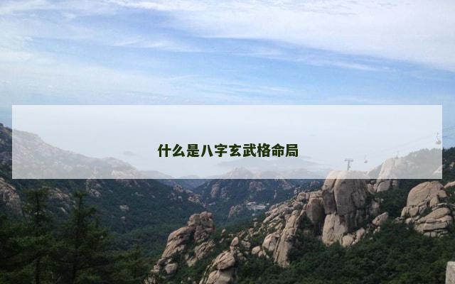 什么是八字玄武格命局