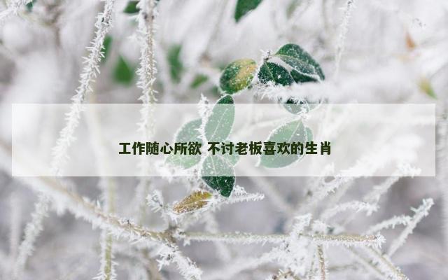 工作随心所欲 不讨老板喜欢的生肖