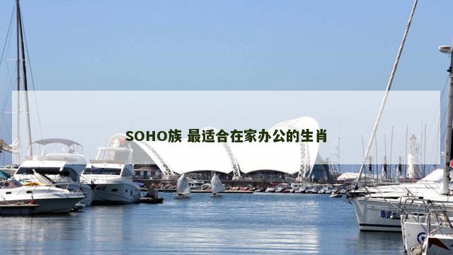 SOHO族 最适合在家办公的生肖