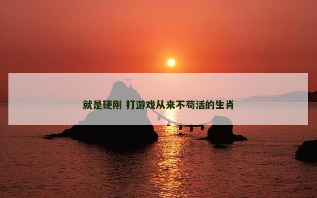 就是硬刚 打游戏从来不苟活的生肖