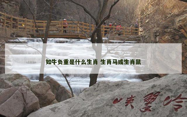 如牛负重是什么生肖 生肖马或生肖鼠