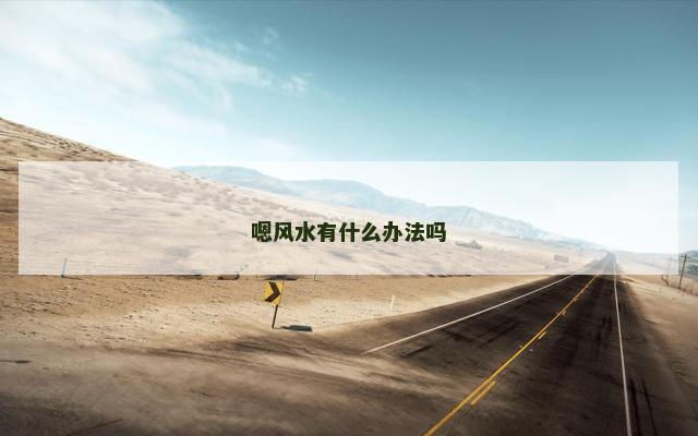 嗯风水有什么办法吗