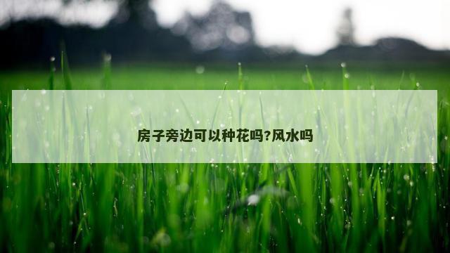房子旁边可以种花吗?风水吗