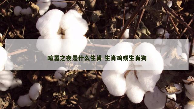喧嚣之夜是什么生肖 生肖鸡或生肖狗