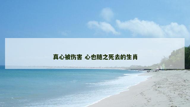 真心被伤害 心也随之死去的生肖