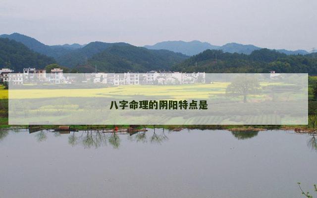 八字命理的阴阳特点是