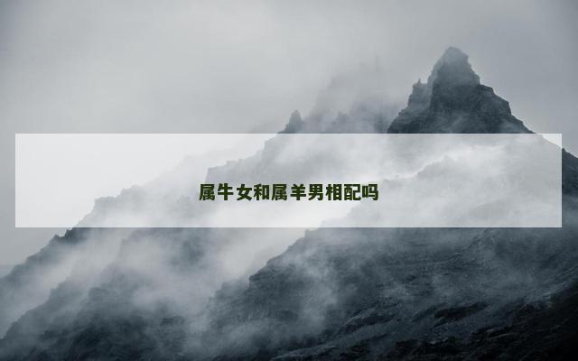 属牛女和属羊男相配吗