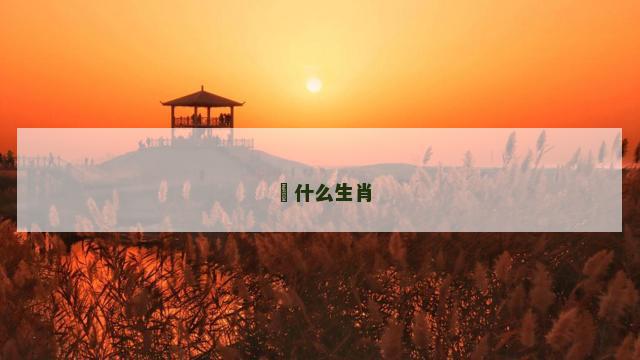 媋什么生肖