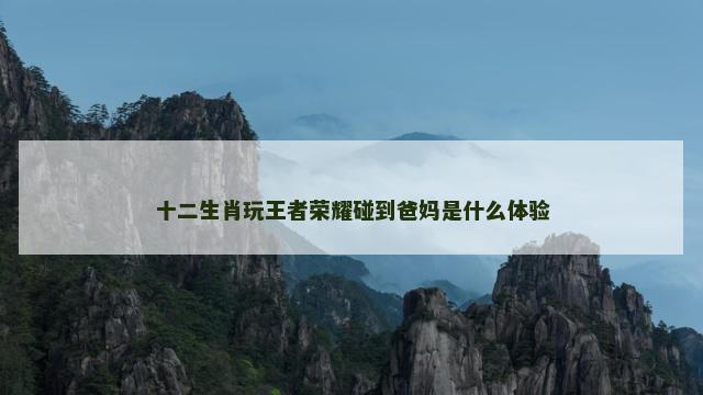 十二生肖玩王者荣耀碰到爸妈是什么体验