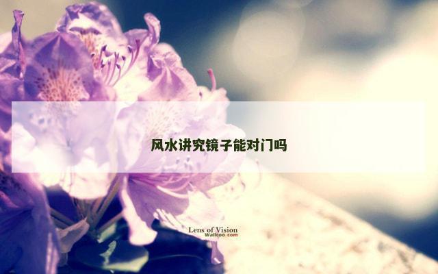 风水讲究镜子能对门吗