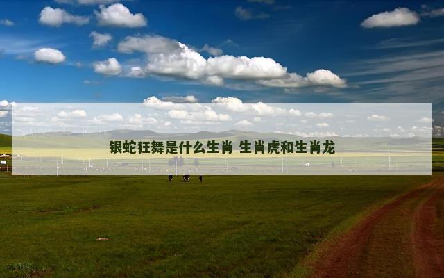 银蛇狂舞是什么生肖 生肖虎和生肖龙