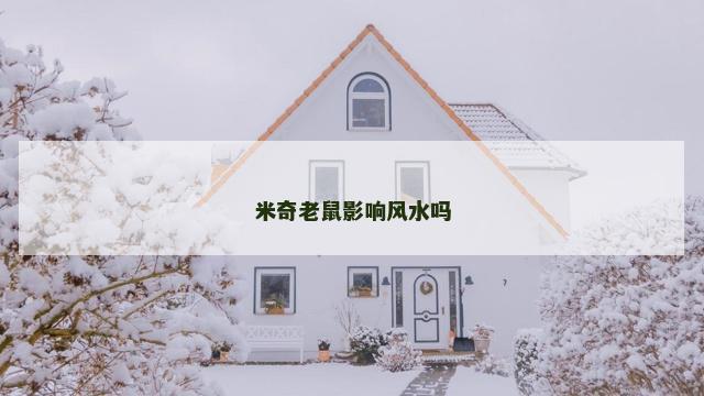 米奇老鼠影响风水吗
