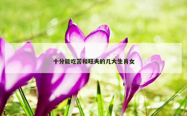 十分能吃苦和旺夫的几大生肖女