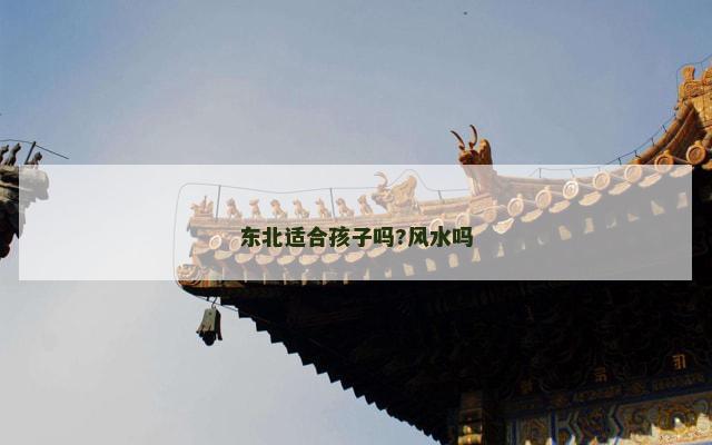 东北适合孩子吗?风水吗
