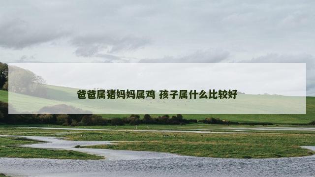 爸爸属猪妈妈属鸡 孩子属什么比较好